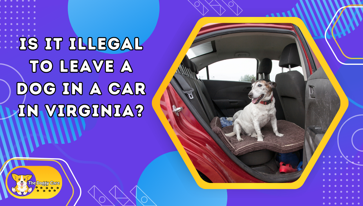 Is It Illegal to Leave a Dog in a Car in Virginia?