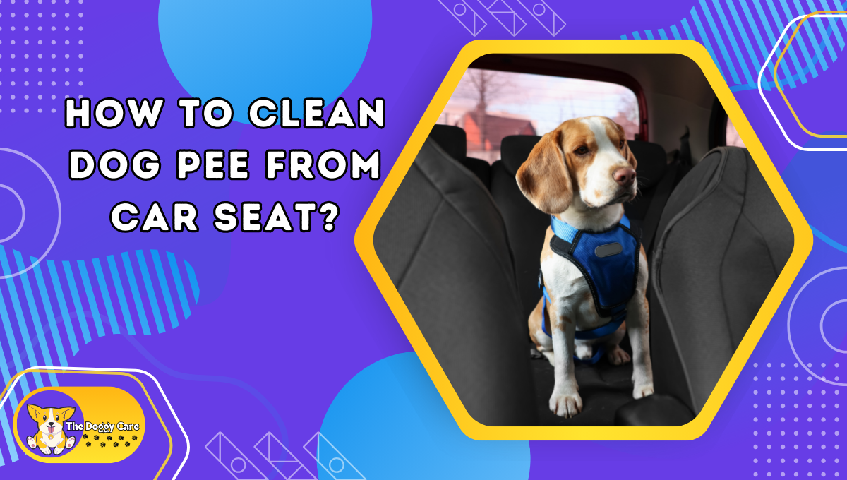 How to Clean Dog Pee from Car Seat?