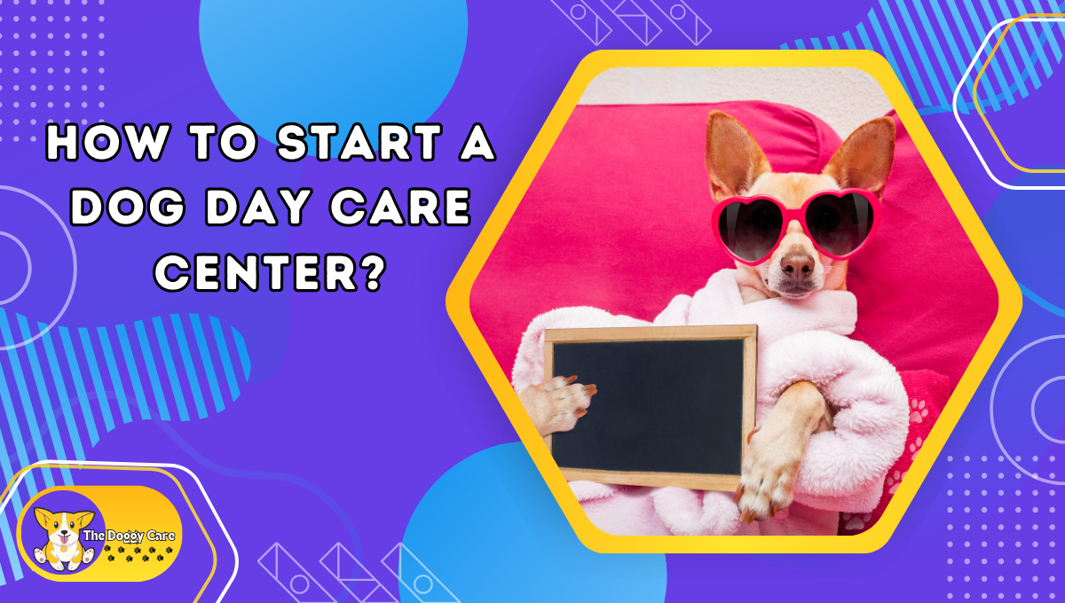 How to Start a Dog Day Care Center?