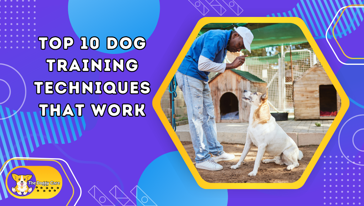 Top 10 Dog Training Techniques That Work