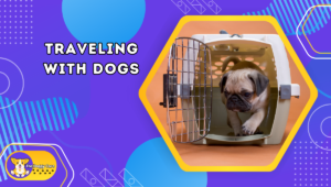 Traveling with Dogs