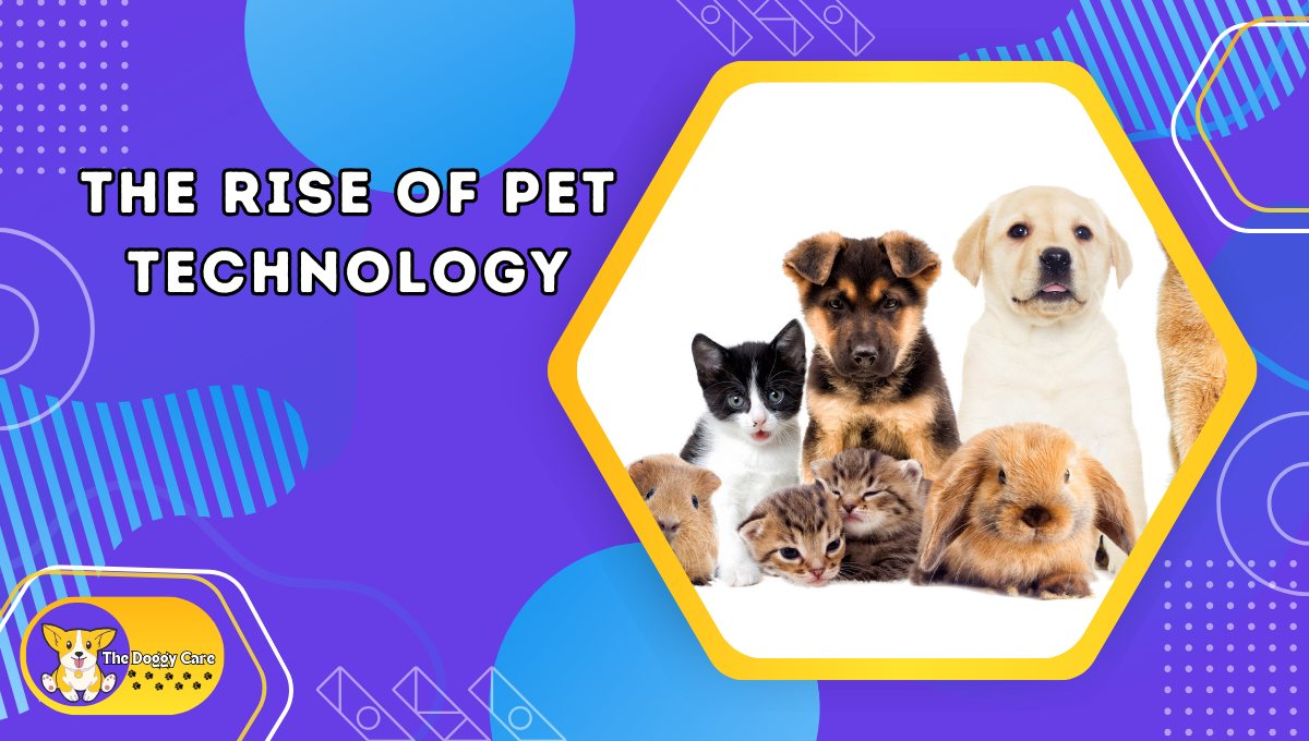 The Rise of Pet Technology