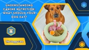 Understanding Canine Nutrition: What Should Your Dog Eat?