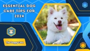 Dog Care Tips