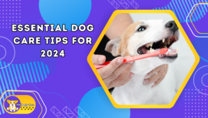 Essential Dog Care Tips for 2024