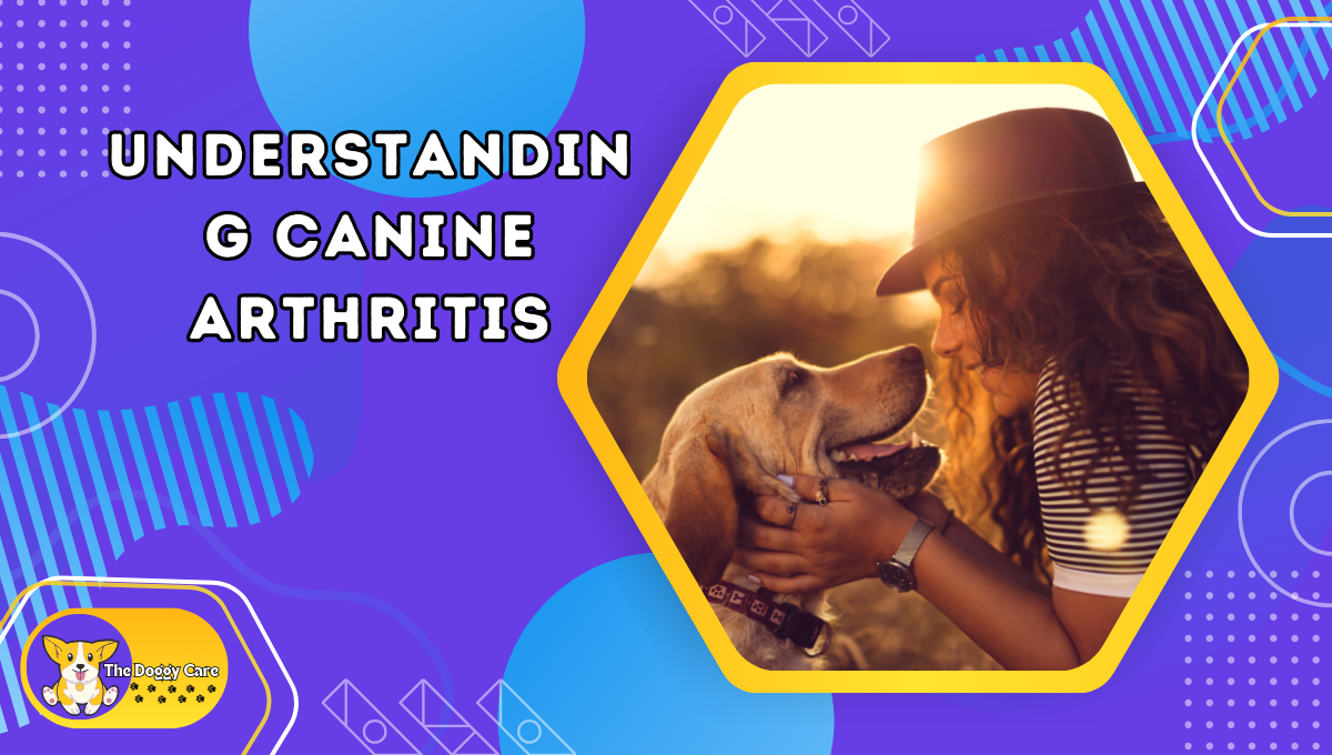 Understanding Canine Arthritis