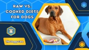 Raw vs. Cooked Diets for Dogs