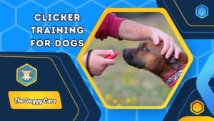 Clicker Training for Dogs