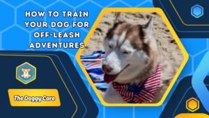 How to Train Your Dog for Off-Leash Adventures