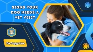 Signs Your Dog Needs a Vet Visit