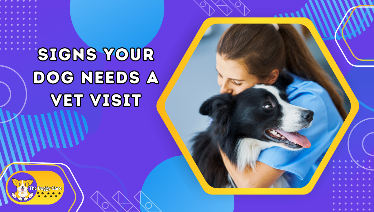 What You Need to Know About Dog Vaccinations