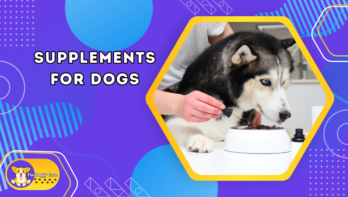 Supplements for Dogs