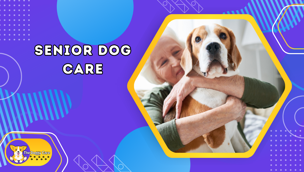 Senior Dog Care