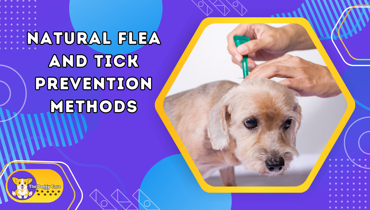 Natural Flea and Tick Prevention Methods