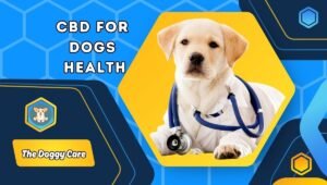 CBD For Dogs Health