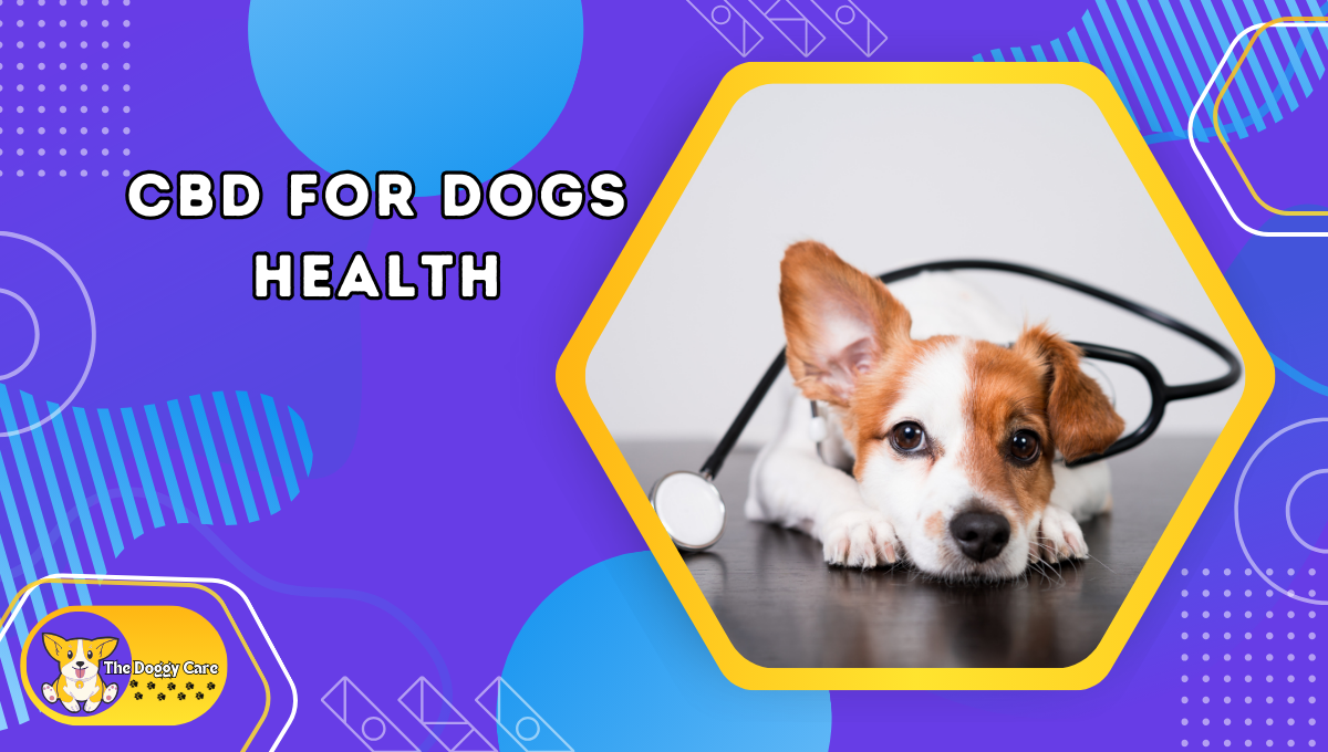 CBD For Dogs Health