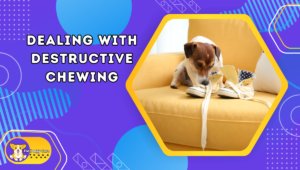 Dealing with Destructive Chewing