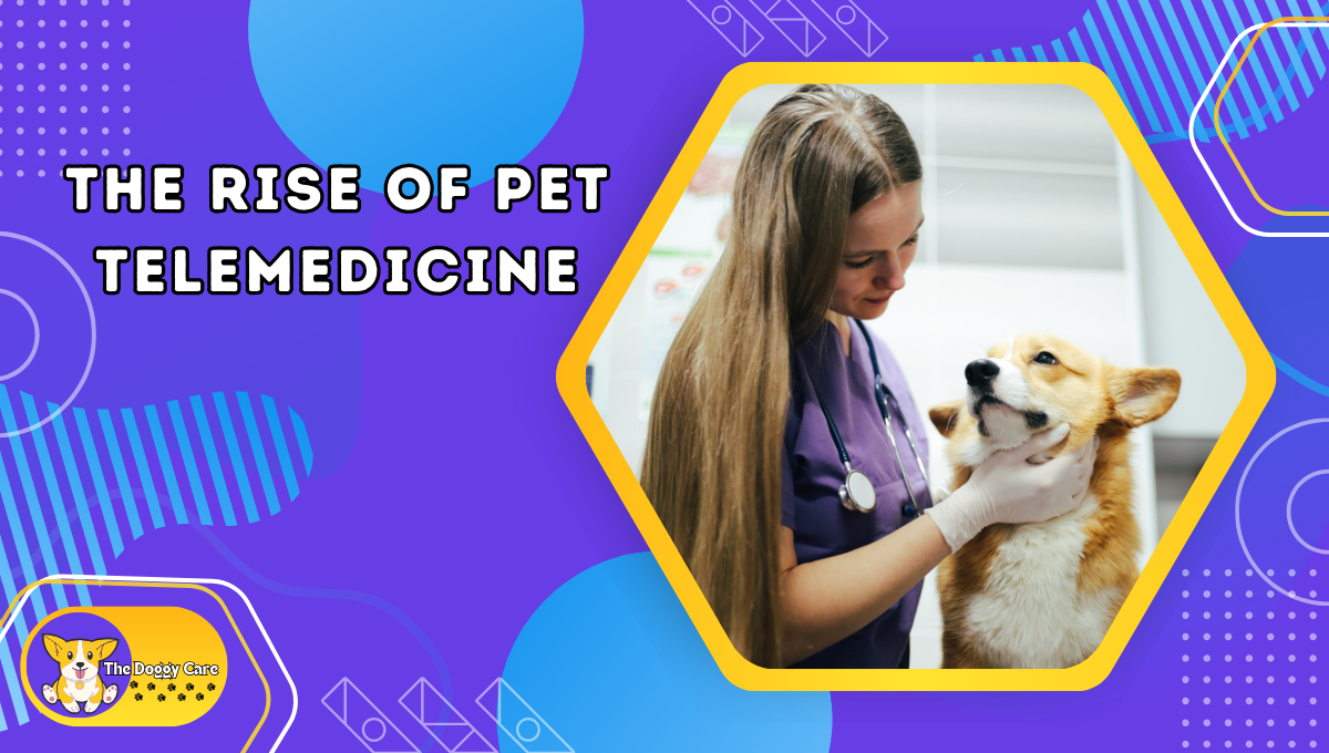 The Rise of Pet Telemedicine