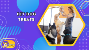 DIY Dog Treats