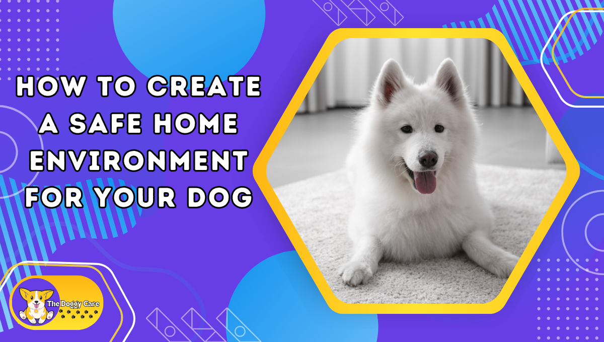 How to Create a Safe Home Environment for Your Dog