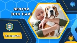 Senior Dog Care