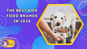 The Best Dog Food Brands in 2024