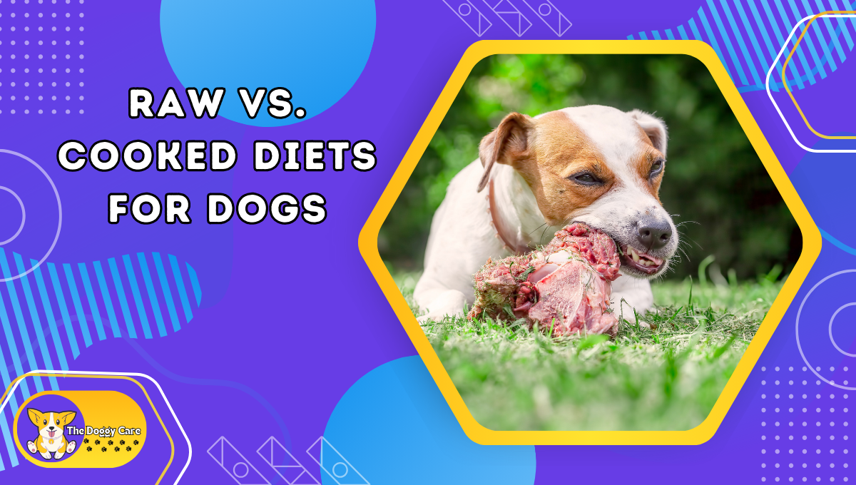 Raw vs. Cooked Diets for Dogs