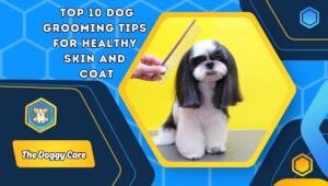 Dog Grooming