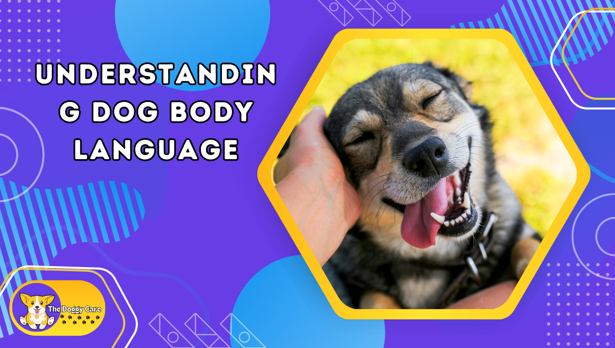 Understanding Dog Body Language